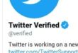 Twitter verified logo