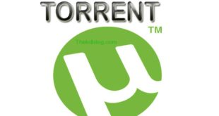 What is a Torrent? How to use it