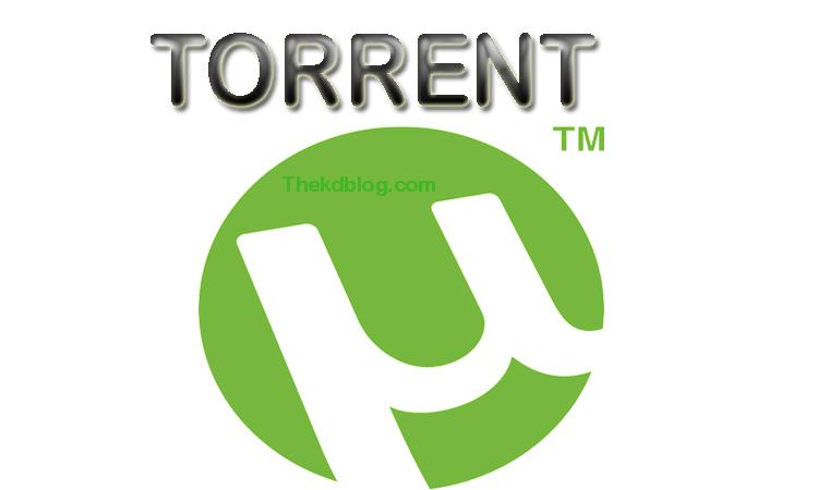 What is a Torrent? How to use it